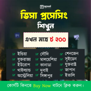 ভিসা প্রসেসিং কোর্স